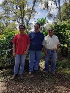 El Orizabeño -Washed-  30kg