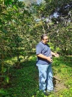 El Orizabeño -Red Honey-  10kg