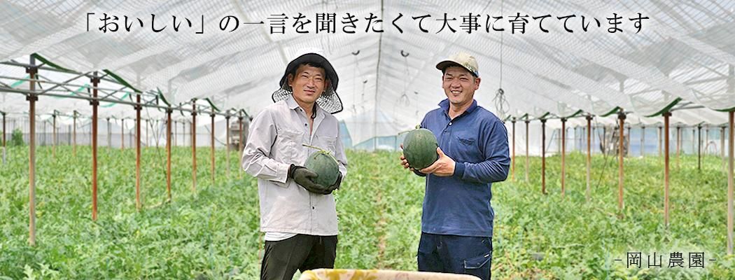 スイカ（黒小玉スイカ）、メロン（肥後グリーン）の岡山農園