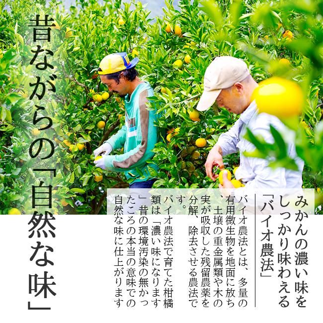 小玉みかん(愛媛県八幡浜産)のお取り寄せ販売(通販)送料無料 小玉みかん(愛媛県八幡浜産)のお取り寄せ販売(通販)送料無料