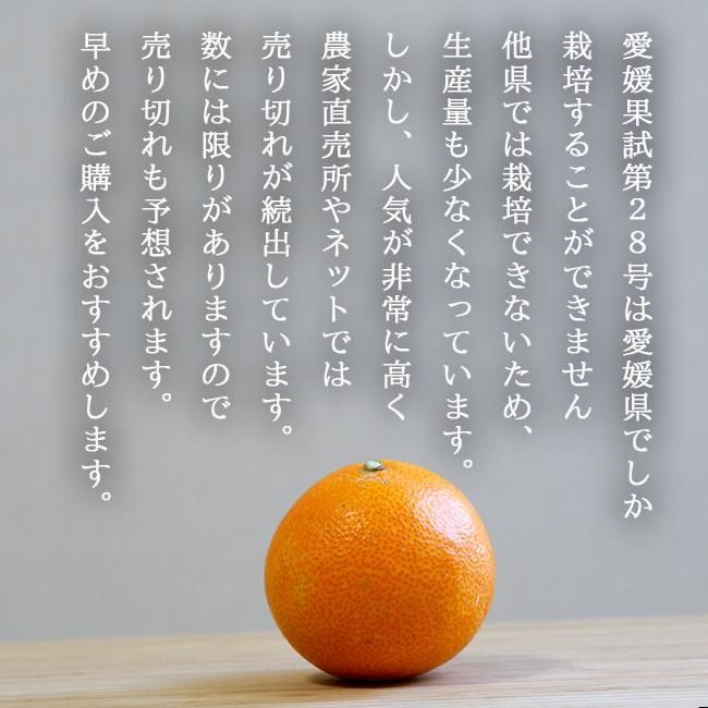 楽天市場】新商品【紅プリンセス】優品 6玉入り化粧箱愛媛県産