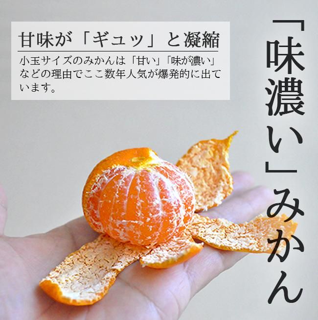 小玉みかん(愛媛県八幡浜産)のお取り寄せ販売(通販)送料無料 小玉みかん(愛媛県八幡浜産)のお取り寄せ販売(通販)送料無料
