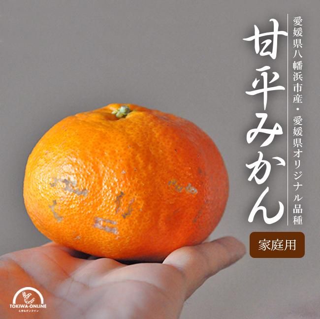 甘平(かんぺい)(訳あり)のお取り寄せ(通販) 農家直送 送料無料 甘平(かんぺい)(訳あり)のお取り寄せ(通販) 農家直送 送料無料