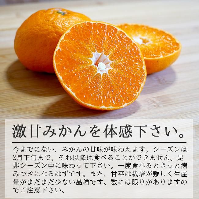 甘平(かんぺい)(訳あり)のお取り寄せ(通販) 農家直送 送料無料 甘平(かんぺい)(訳あり)のお取り寄せ(通販) 農家直送 送料無料