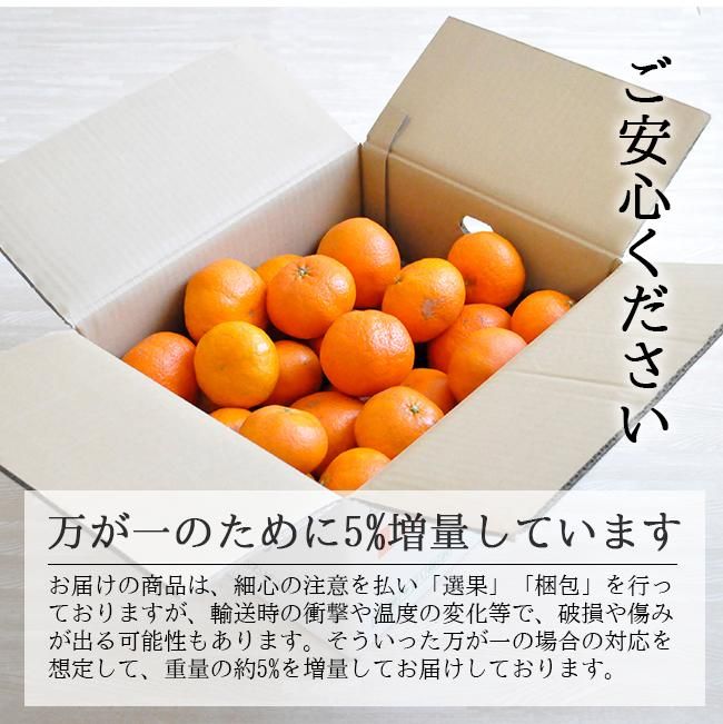 甘平(かんぺい)(訳あり)お取り寄せ(通販)農家直送 送料無料 甘平(かんぺい)(訳あり)お取り寄せ(通販)農家直送 送料無料