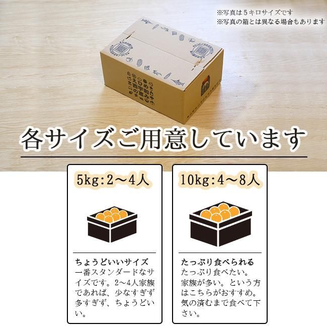 甘平(かんぺい)(訳あり)お取り寄せ(通販)農家直送 送料無料 甘平(かんぺい)(訳あり)お取り寄せ(通販)農家直送 送料無料