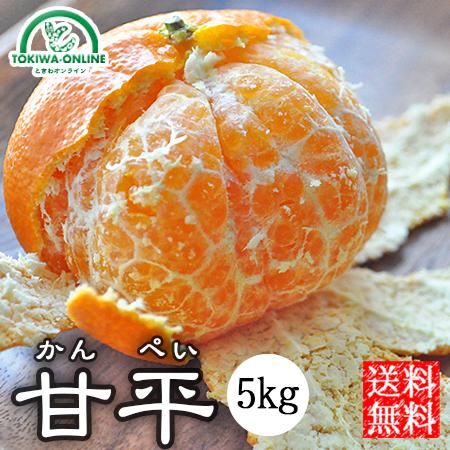 お得セット (か良7)良品 甘平 かんぺい 約5kg 果物 - 果物 お得セット (か良7)良品 甘平 かんぺい 約5kg 果物 - 果物