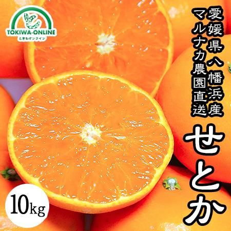 せとか（家庭用）10Kgのお取り寄せ販売（通販）送料無料でお届け