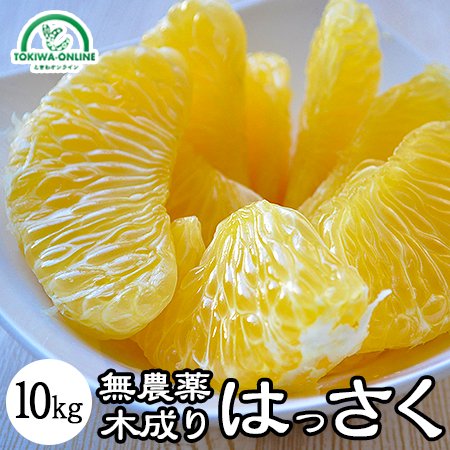 八朔 無農薬（家庭用）10Kgのお取り寄せ販売（通販）送料無料で