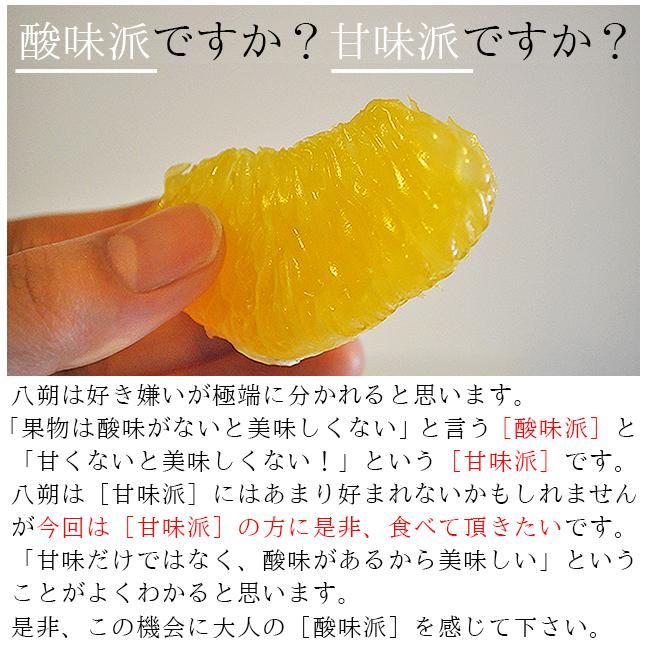 八朔 無農薬（家庭用）10Kgのお取り寄せ販売（通販）送料無料で