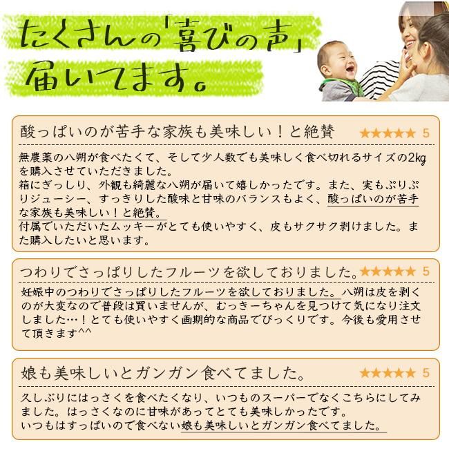 本日便発送可能　ハチク約10kg 新鮮 農薬不使用 お得なケース単位での販売です「Zボルドー 1kgX20袋」