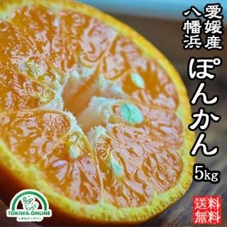 商品検索 - 〈公式〉ときわオンライン