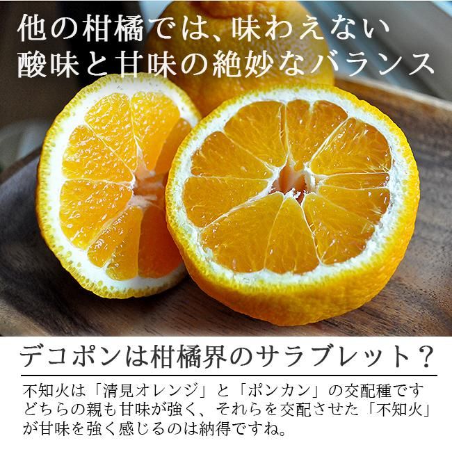 デコポン 不知火(愛媛産)5Kgのお取り寄せ販売(通販)送料無料 デコポン 不知火(愛媛産)5Kgのお取り寄せ販売(通販)送料無料