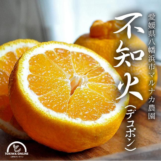 デコポン 不知火(愛媛産)10Kgのお取り寄せ販売(通販)送料 デコポン 不知火(愛媛産)10Kgのお取り寄せ販売(通販)送料