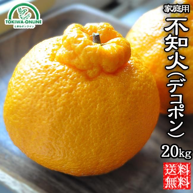 デコポン 不知火(愛媛産)20Kgのお取り寄せ販売(通販)送料 デコポン 不知火(愛媛産)20Kgのお取り寄せ販売(通販)送料