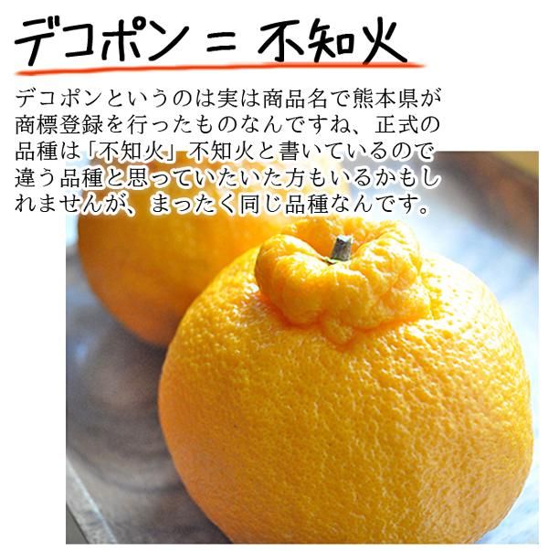 デコポン 不知火(愛媛産)20Kgのお取り寄せ販売(通販)送料 デコポン 不知火(愛媛産)20Kgのお取り寄せ販売(通販)送料