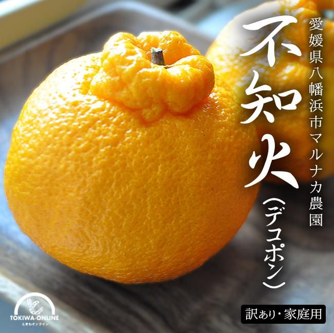 デコポン 訳あり 不知火(愛媛産)10Kgのお取り寄せ販売(通販 デコポン 訳あり 不知火(愛媛産)10Kgのお取り寄せ販売(通販