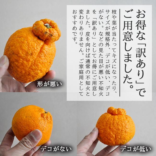 デコポン 訳あり 不知火(愛媛産)10Kgのお取り寄せ販売(通販 デコポン 訳あり 不知火(愛媛産)10Kgのお取り寄せ販売(通販