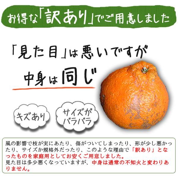 デコポン 訳あり 不知火(愛媛産)20Kgのお取り寄せ販売(通販 デコポン 訳あり 不知火(愛媛産)20Kgのお取り寄せ販売(通販