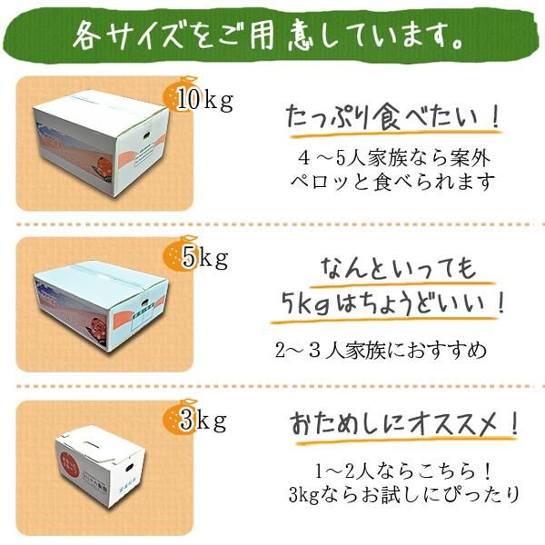 デコポン 訳あり 不知火（愛媛産）20Kgのお取り寄せ販売（通販
