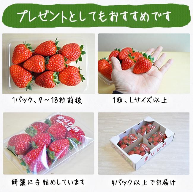 イチゴ（まりひめ）のお取り寄せ販売（通販）送料無料でお届け