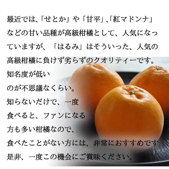 はるみ(和歌山産)5Kgのお取り寄せ販売(通販)送料無料でお届け はるみ(和歌山産)5Kgのお取り寄せ販売(通販)送料無料でお届け