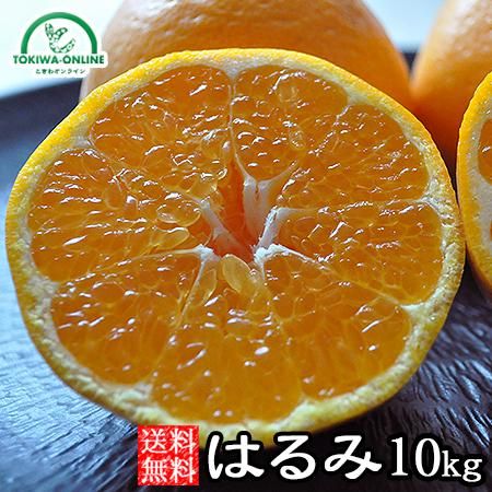 はるみ(和歌山産)10Kgのお取り寄せ販売(通販)送料無料でお届け はるみ(和歌山産)10Kgのお取り寄せ販売(通販)送料無料でお届け