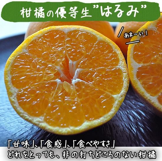 欲しいの はるみ（和歌山産）10Kgのお取り寄せ販売（通販）送料無料でお届け 果物
