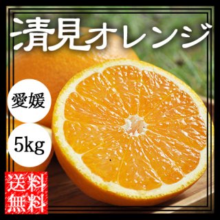清見オレンジ（清見タンゴール）5Kg