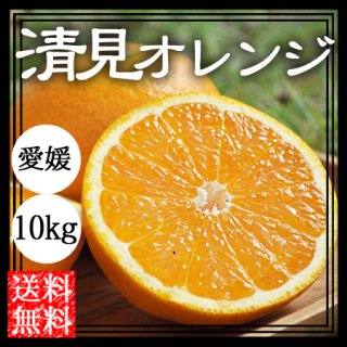清見オレンジ（清見タンゴール）10Kg