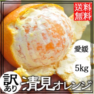 訳あり 清見オレンジ（清見タンゴール）5Kg