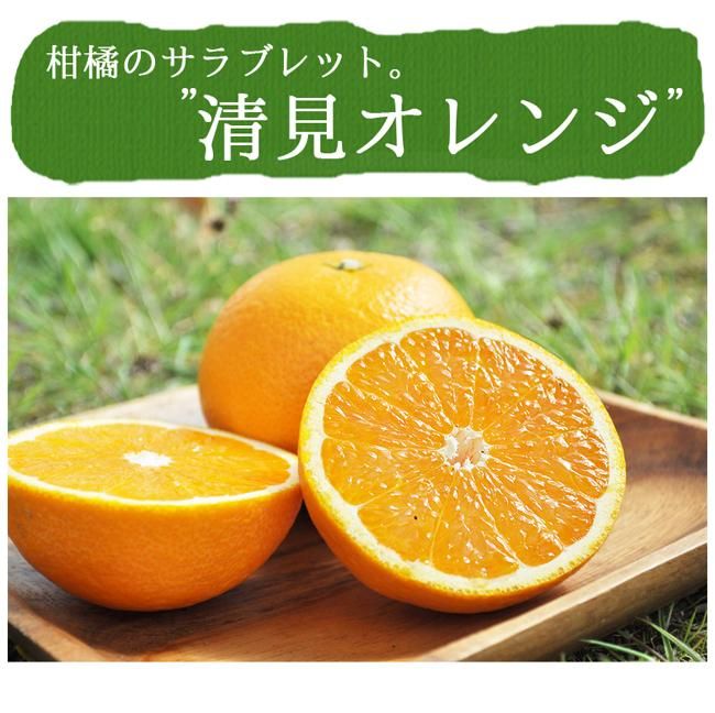 楽天市場】小玉 みかん 10kgの通販