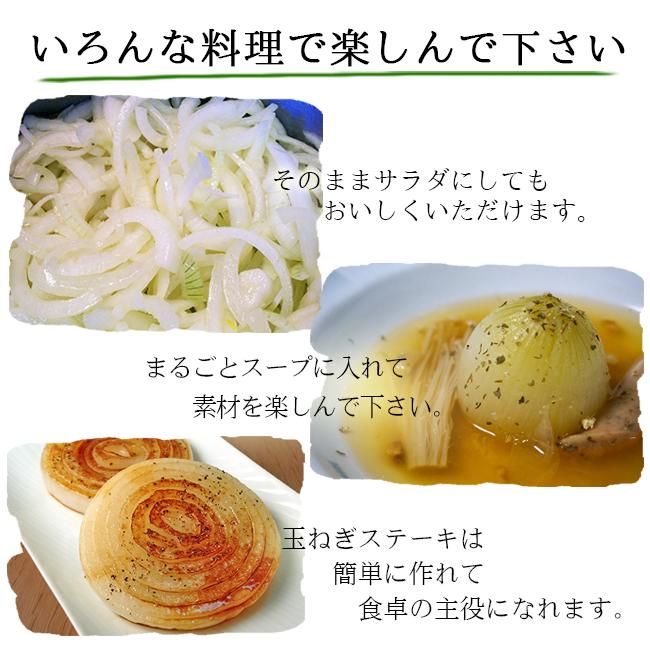 玉ねぎ 新たまねぎ 無農薬(家庭用)2Kgのお取り寄せ販売(通販 玉ねぎ 新たまねぎ 無農薬(家庭用)2Kgのお取り寄せ販売(通販