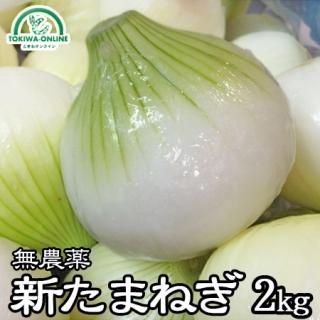 ̵̤ͤ 2Kg ꡼󥸥󥯥