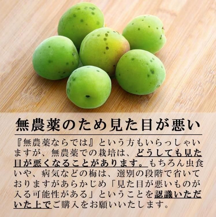 青梅 南高梅 無農薬 2Kgのお取り寄せ販売(通販)送料無料でお届け 青梅 南高梅 無農薬 2Kgのお取り寄せ販売(通販)送料無料でお届け
