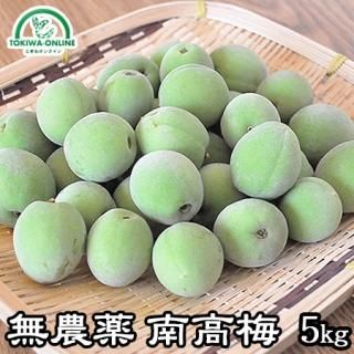 青梅 南高梅 無農薬 お取り寄せ販売(通販)送料無料 農家直送 青梅 南高梅 無農薬 お取り寄せ販売(通販)送料無料 農家直送