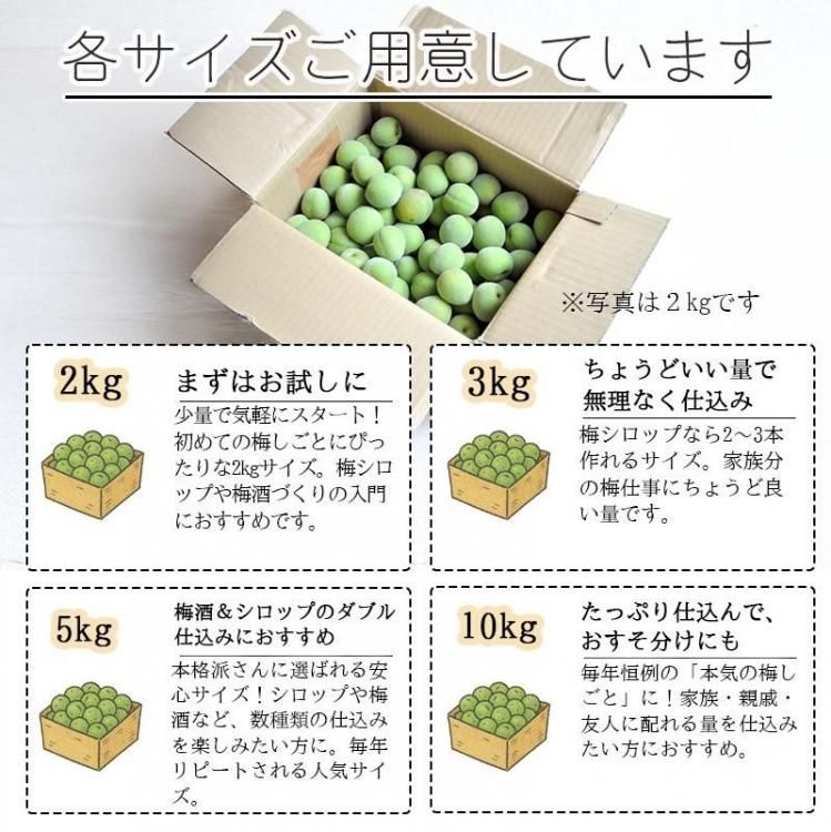 青梅 南高梅 無農薬 20Kgのお取り寄せ販売(通販)送料無料でお届け 青梅 南高梅 無農薬 20Kgのお取り寄せ販売(通販)送料無料でお届け