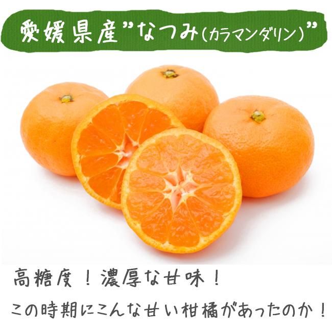 なつみ お取り寄せ販売（通販） 愛媛 八幡浜産 送料無料でお届け