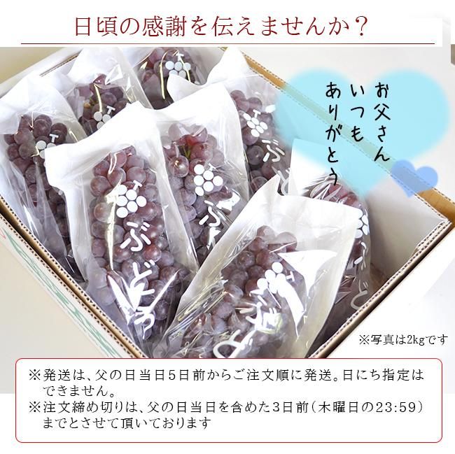 楽天市場】デラウェア 2kgの通販