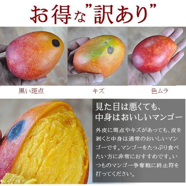 訳ありマンゴー9.8㎏ 楽天市場】マンゴー 訳あり 沖縄 訳ありマンゴー 沖縄マンゴー