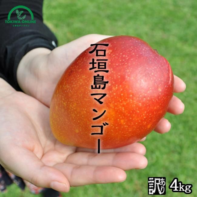 完熟の沖縄 石垣島訳ありマンゴー お取り寄せ販売(通販 完熟の沖縄 石垣島訳ありマンゴー お取り寄せ販売(通販