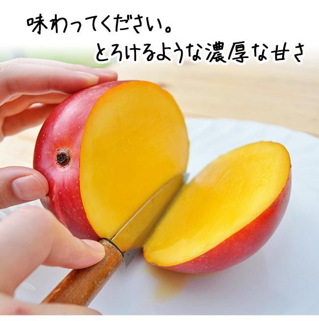 楽天市場】マンゴー 訳あり（マンゴー｜フルーツ・果物）：食品