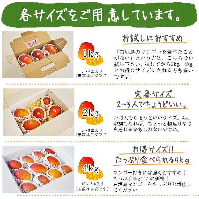 完熟の沖縄 石垣島訳ありマンゴー お取り寄せ販売(通販 完熟の沖縄 石垣島訳ありマンゴー お取り寄せ販売(通販