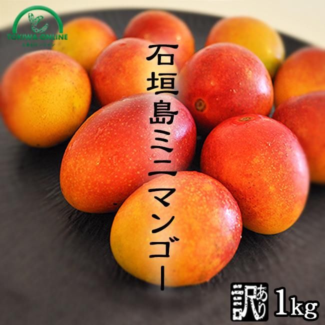 沖縄産★家庭用ミニマンゴー 2.5kg