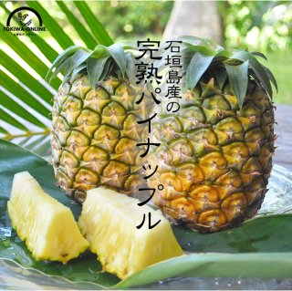 パイナップル（ハワイ種） 2玉入 生盛ファーム