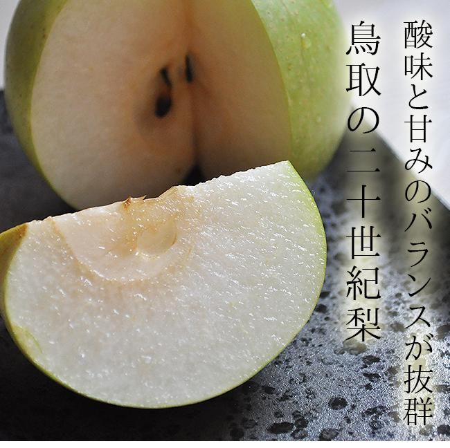 梨 20世紀梨 お取り寄せ販売（通販）鳥取産 産地直送 農家直送