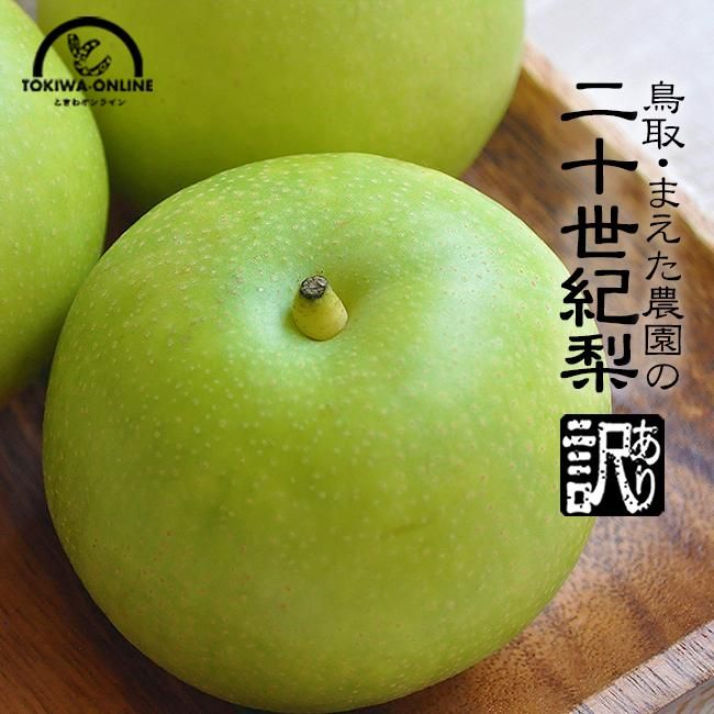 鳥取県産 二十世紀梨 6～10玉 (約3kg): 全農とっとり JAタウン店