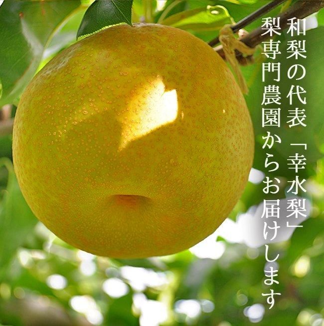産地直送 農家直送 梨 幸水梨のお取り寄せ販売（通販）ギフトに