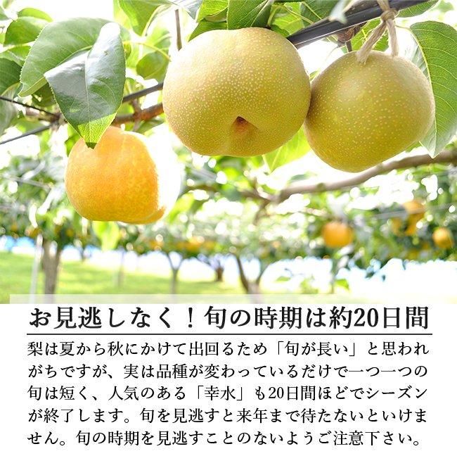 産地直送 農家直送 梨 幸水梨のお取り寄せ販売(通販)ギフトに 産地直送 農家直送 梨 幸水梨のお取り寄せ販売(通販)ギフトに