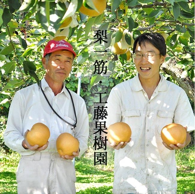 産地直送 農家直送 梨 幸水梨のお取り寄せ販売（通販）ギフトに